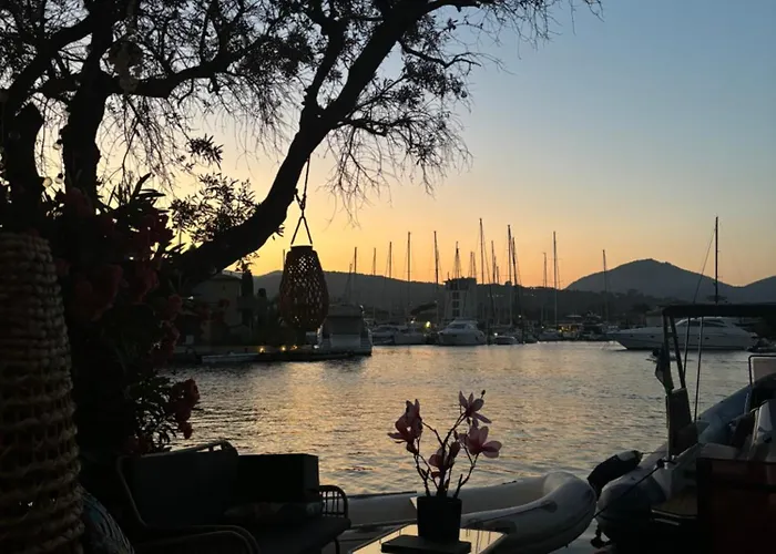 Daire Les Pieds Dans L'eau